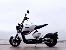 Load image into Gallery viewer, E-Roller  Max 60V 20AH - 45 KM/H--Experience the different electric scooters