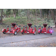 Load image into Gallery viewer, Conference Bike