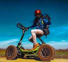 Load image into Gallery viewer, LTD Roaring chariot