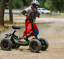 Load image into Gallery viewer, LTD Roaring chariot