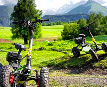 Load image into Gallery viewer, LTD Roaring chariot