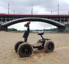 Load image into Gallery viewer, LTD Roaring chariot