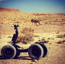 Load image into Gallery viewer, LTD Roaring chariot