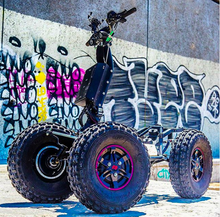 Load image into Gallery viewer, LTD Roaring chariot